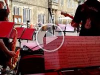 VID-20190614-WA0000  Unser größter Fan!