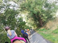 69299190 1071264966399417 250824840250916864 n