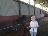 69521054 2476807359270053 7291466244983619584 n