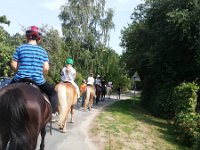 69693353 2905390482810798 5477311066046201856 n