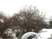 Kaya Valdivia- Roth 1