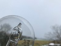 Kaya Valdivia- Roth 2