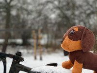 Kimberly Borgwardt 1