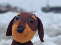 Kimberly Borgwardt 2