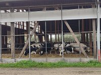 IMG 20210929 085849954