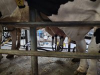 IMG 20210929 090614718 HDR