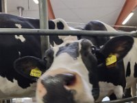 IMG 20210929 090755891