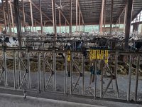 IMG 20210929 091316961 HDR