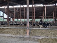 IMG 20210929 091447249 HDR