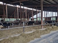 IMG 20210929 091453747 HDR