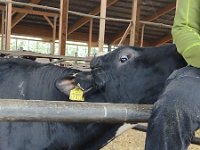 IMG 20210929 091707107