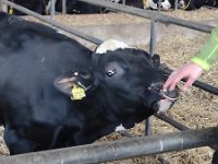 IMG 20210929 091718549