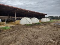 IMG 20210929 094019664 HDR