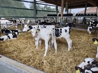 IMG 20210929 094051797 HDR