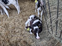 IMG 20210929 094059329 HDR