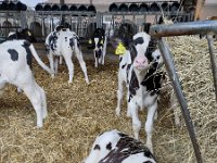 IMG 20210929 094105489 HDR