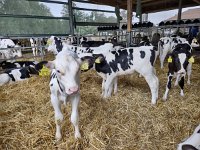 IMG 20210929 094125953 HDR