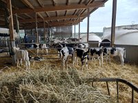 IMG 20210929 094156490 HDR