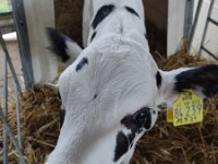 IMG 20210929 094246712