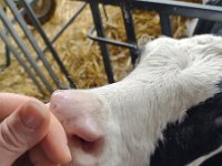 IMG 20210929 094430122