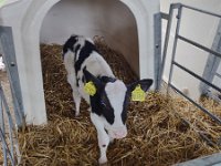 IMG 20210929 095056011