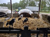 IMG 20210929 095130019 HDR