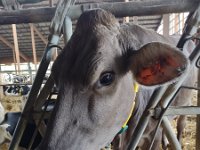 IMG 20210929 113251221