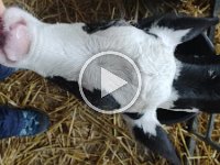 VID 20210929 094440535