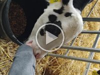 VID 20210929 094623873