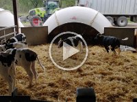 VID 20210929 095133242