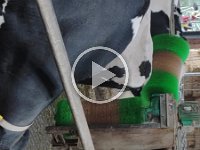 VID 20210929 105710351