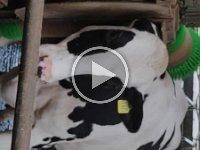 VID 20210929 105754734