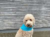 0EBA3B1F-9A9B-4E0D-B8FD-10E24611E7F9