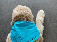 1A6ADCFE-D644-4666-ADD3-D29ED98C438F