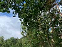 Foto 11.06.24, 08 38 09