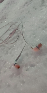 fotografieprojekt2021 1