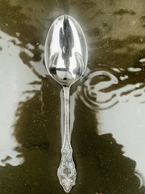 fotografieprojekt2021 2